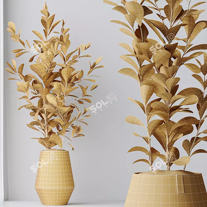 Indian Laurel Ficus Set01 Serenity 3D model image 5