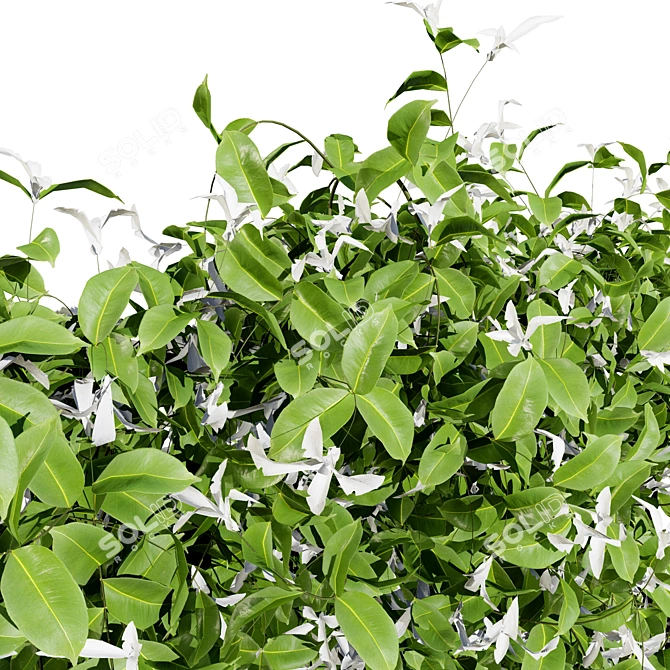 Honeysuckle Collection for 3D Renders 3D model image 2