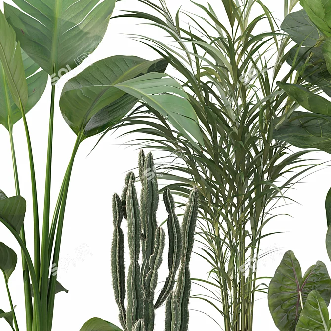 Botanical Oasis Plant Collection 3D model image 7