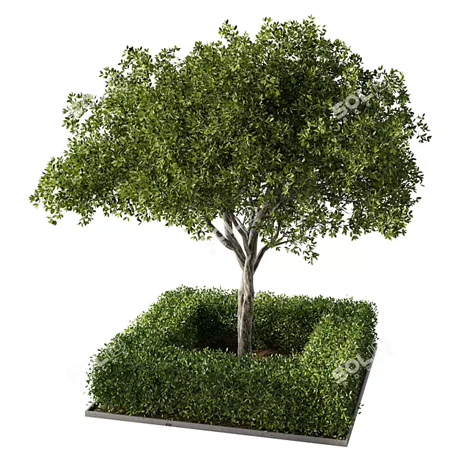 Garden Oasis Plant Set 3D model image 1