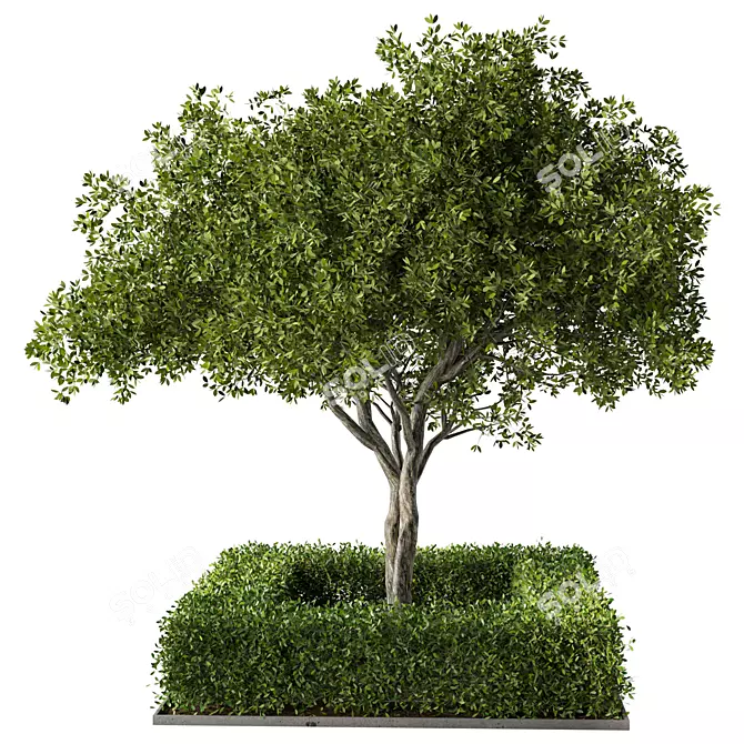 Garden Oasis Plant Set 3D model image 2