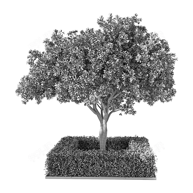 Garden Oasis Plant Set 3D model image 3