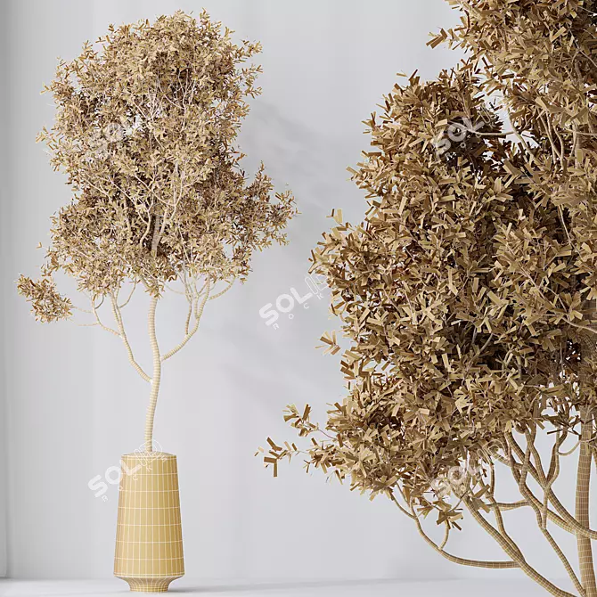 Elegant Olive Tree Yard Set 3D model image 5