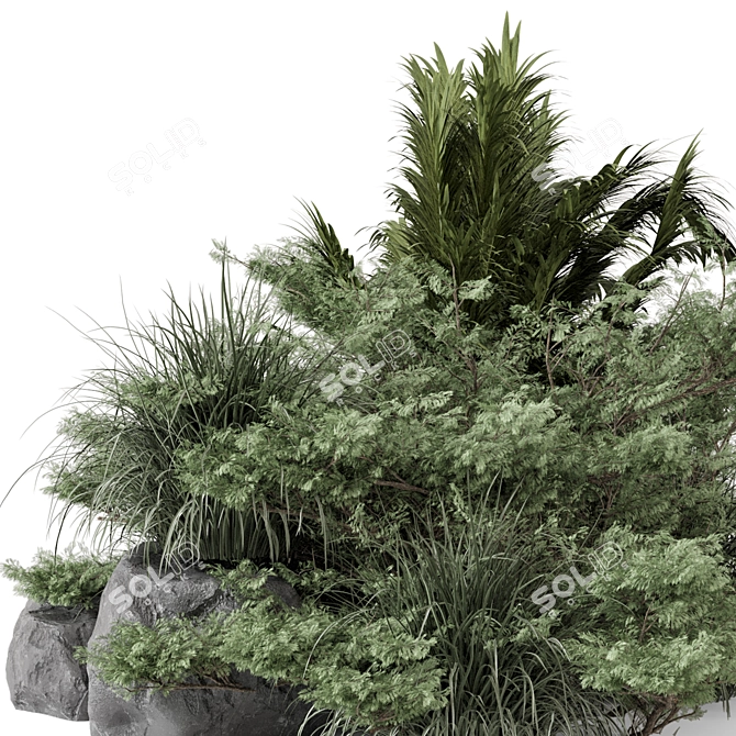 Garden Set Bush Tree Render 3D model image 4