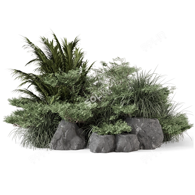 Garden Set Bush Tree Render 3D model image 5