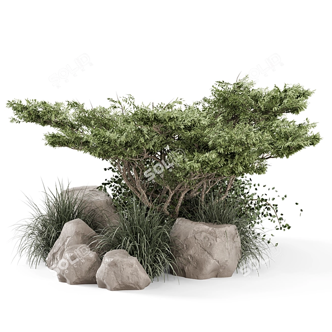 Outdoor Garden Bush Tree Set 3D model image 4