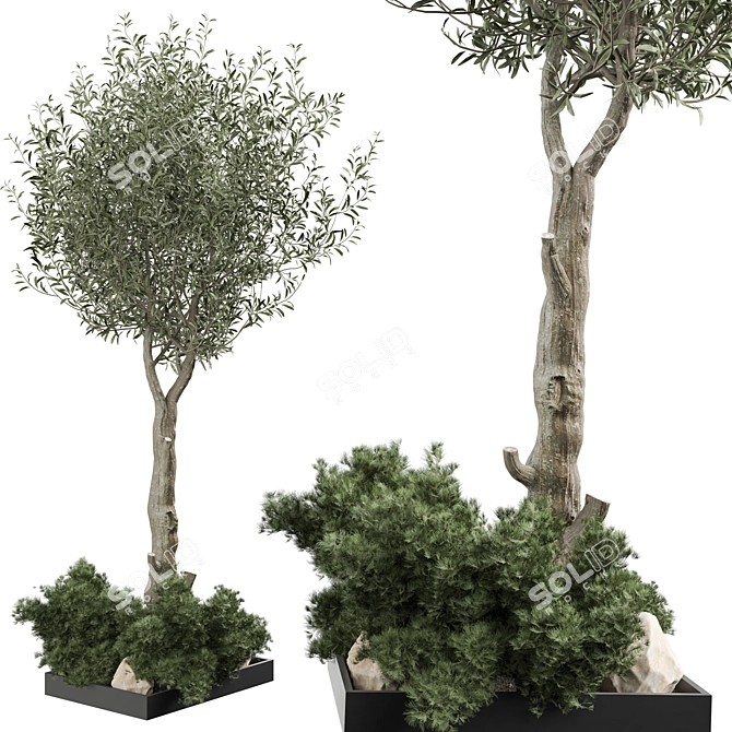 2021 Outdoor Plant Collection 3D model image 1