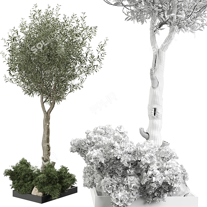 2021 Outdoor Plant Collection 3D model image 3