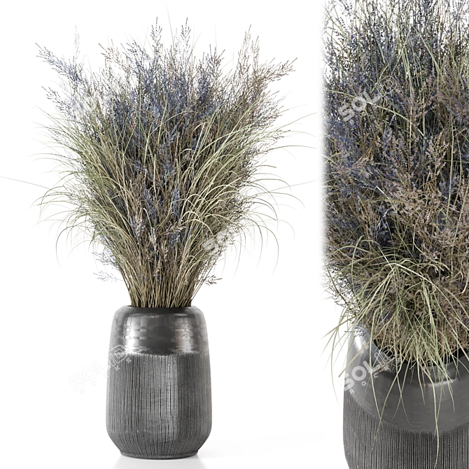 Unique Dry Bouquet Plants Set 3D model image 1