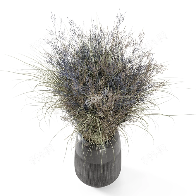 Unique Dry Bouquet Plants Set 3D model image 2