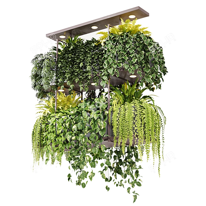 Title: Texture-Enhanced Hanging Plant 3D model image 1