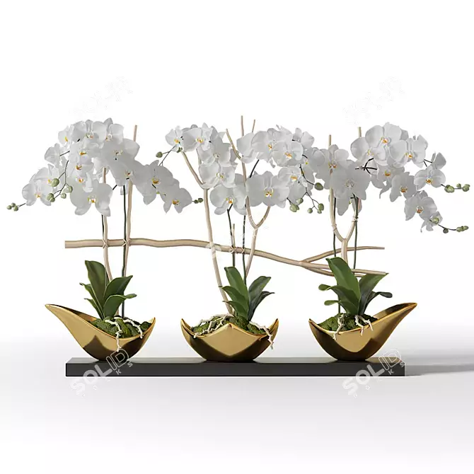 Gilded Orchids in Black Vase 3D model image 1