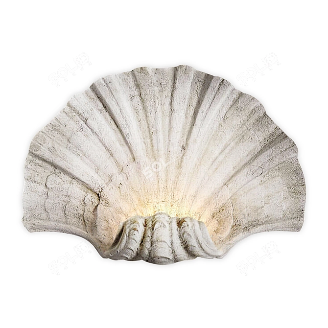 Shell Wall Light by Cox 3D model image 1