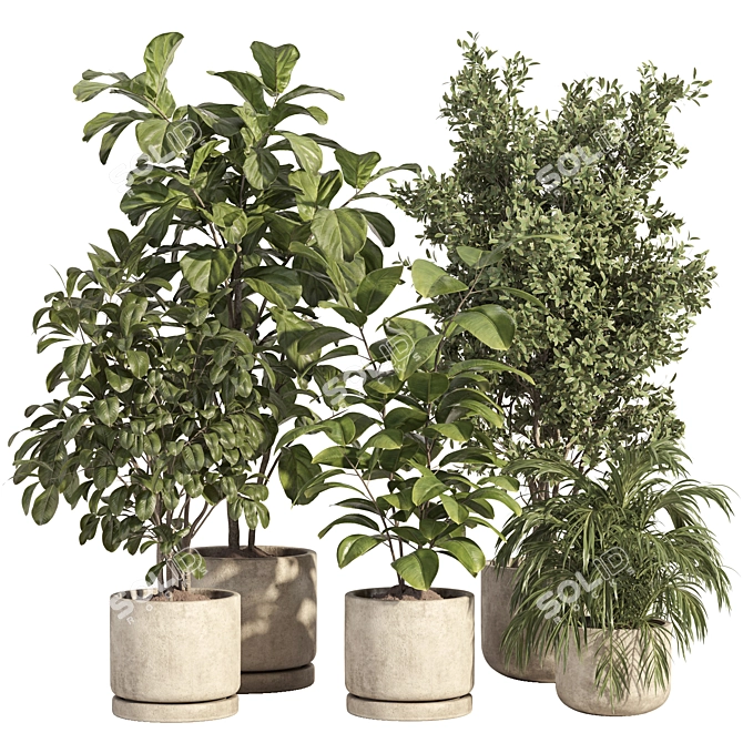 Concrete Pot Indoor Plant Set 3D model image 1