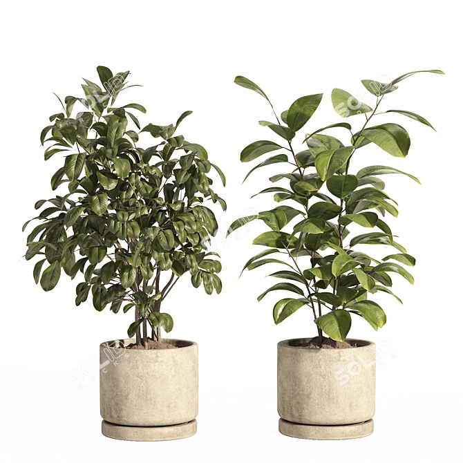 Concrete Pot Indoor Plant Set 3D model image 3