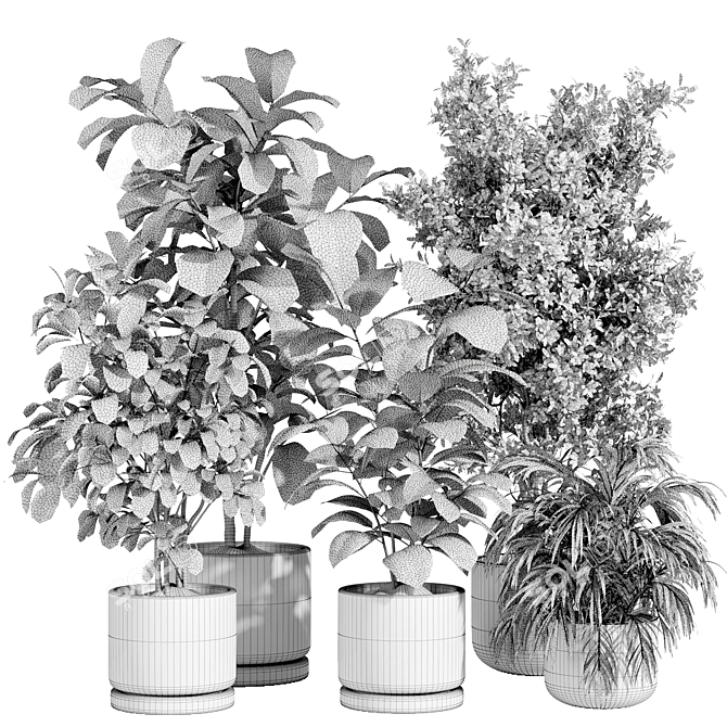 Concrete Pot Indoor Plant Set 3D model image 4