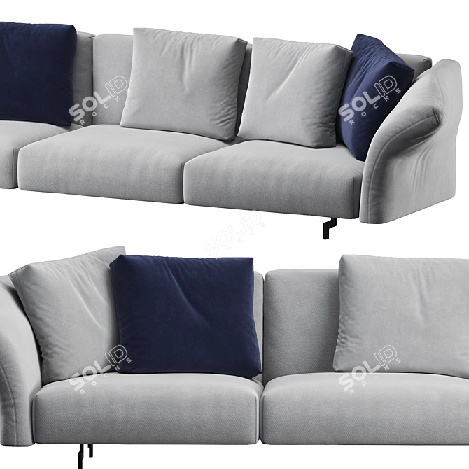 Modern Dambo Sofa by B&B Italia 3D model image 3