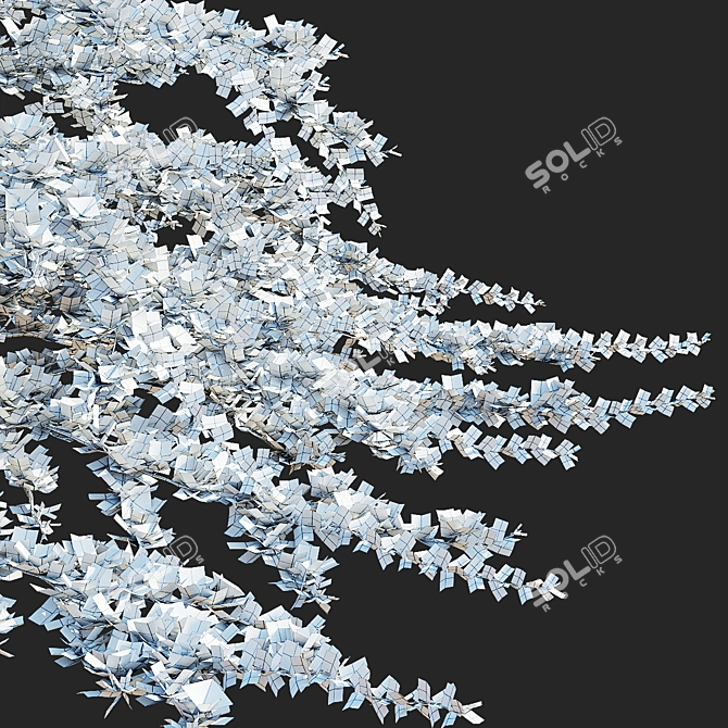 Hybrid Flowering Cotoneaster Set 3D model image 5