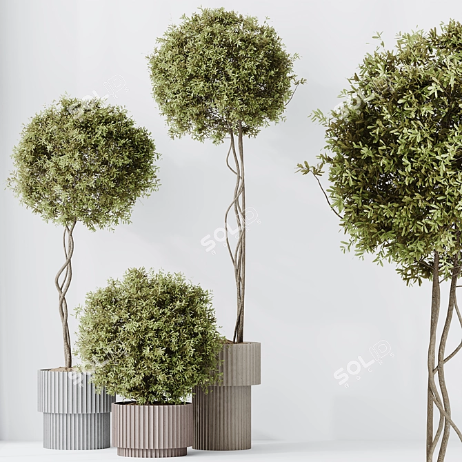 Versatile Olive Tree Set - Yardzen 3D model image 5