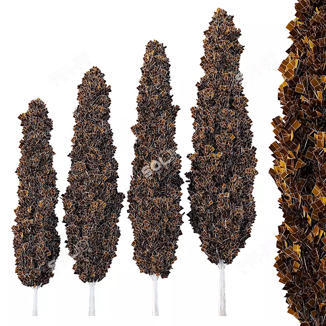 Italian Cypress Tree Models Pack 3D model image 2