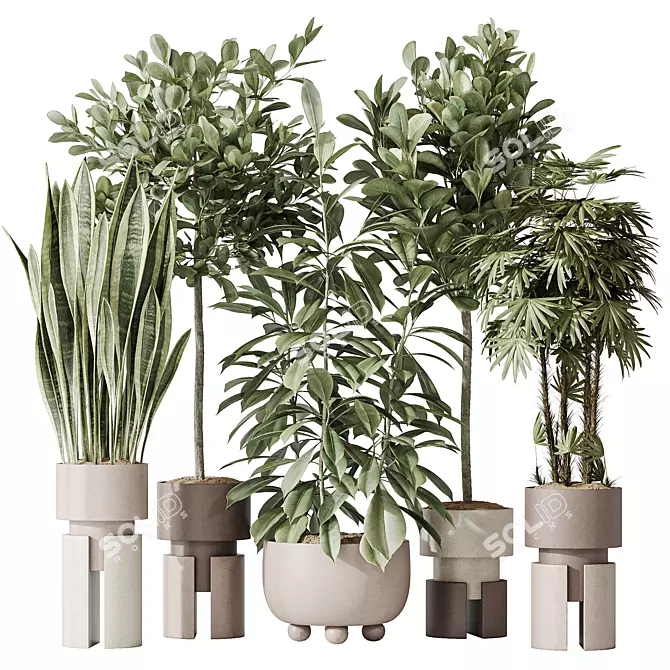 "Diverse Indoor Plant Set 3D 3D model image 1