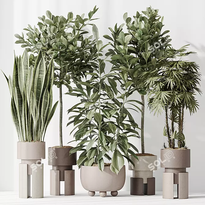 "Diverse Indoor Plant Set 3D 3D model image 2