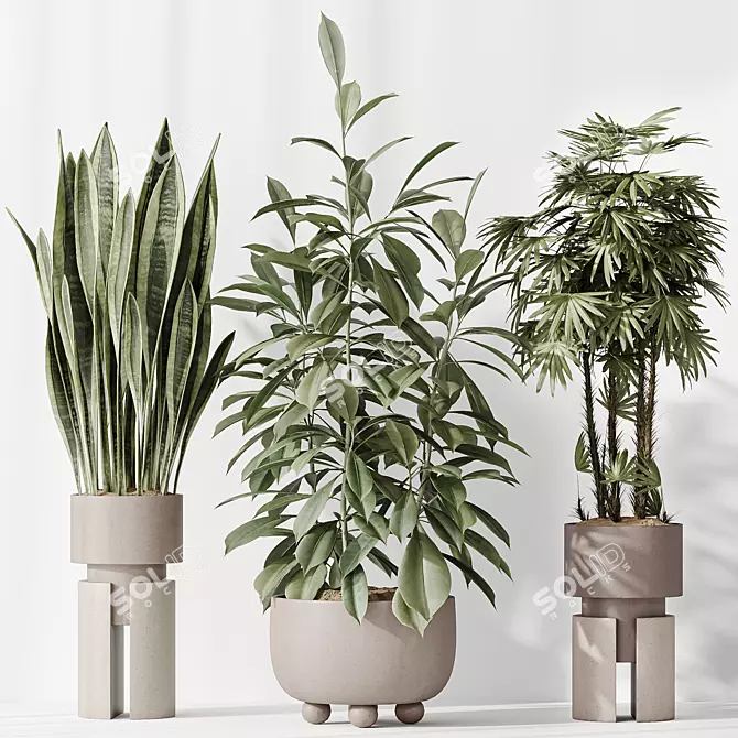 "Diverse Indoor Plant Set 3D 3D model image 4