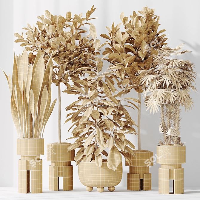 "Diverse Indoor Plant Set 3D 3D model image 5