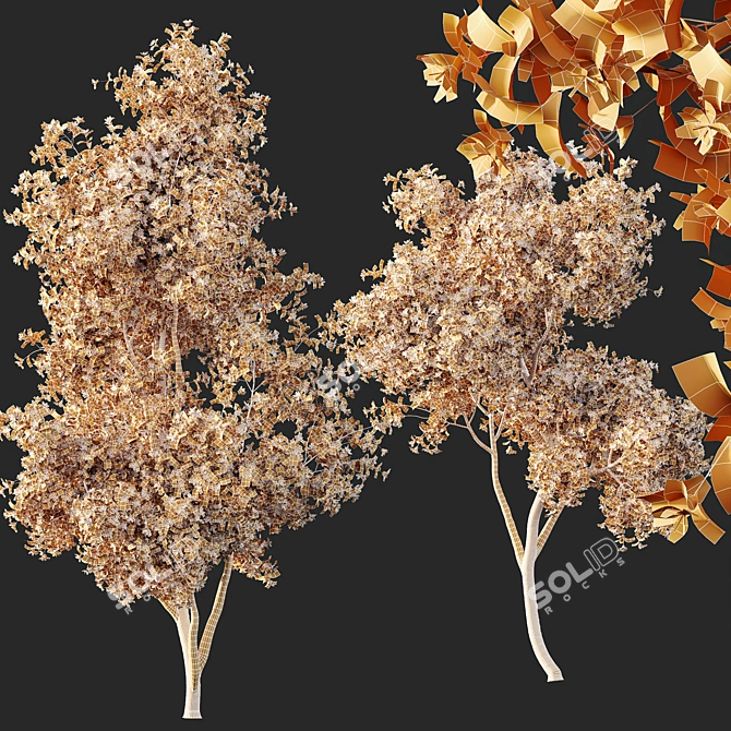 Orchid Tree 3D Models Bundle 3D model image 5