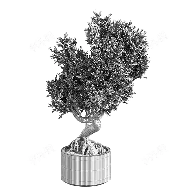 Zen Bonsai Set for Indoors 3D model image 5