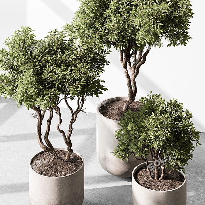 Tree in Pot 676 | Indoor 3D model image 1