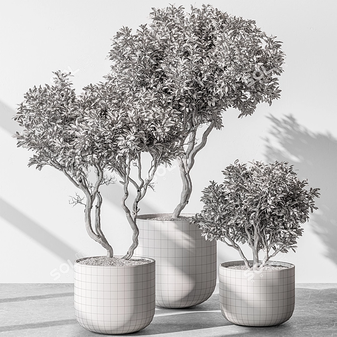 Tree in Pot 676 | Indoor 3D model image 4