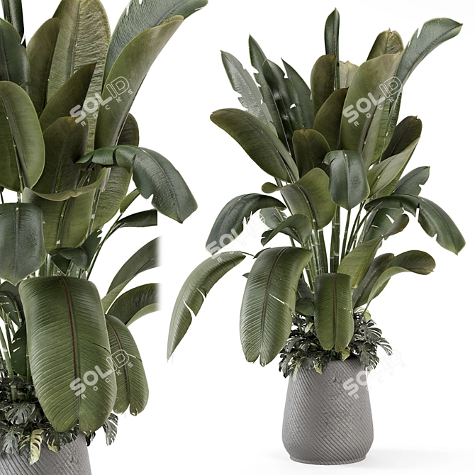 Gray Concrete Pot Indoor Plants 3D model image 1