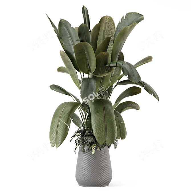 Gray Concrete Pot Indoor Plants 3D model image 3