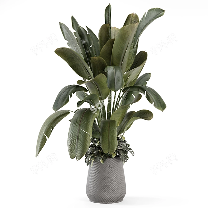 Gray Concrete Pot Indoor Plants 3D model image 4