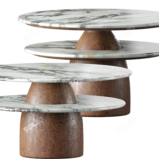 Dual Layer Coffee Tables by Modnodesign 3D model image 2