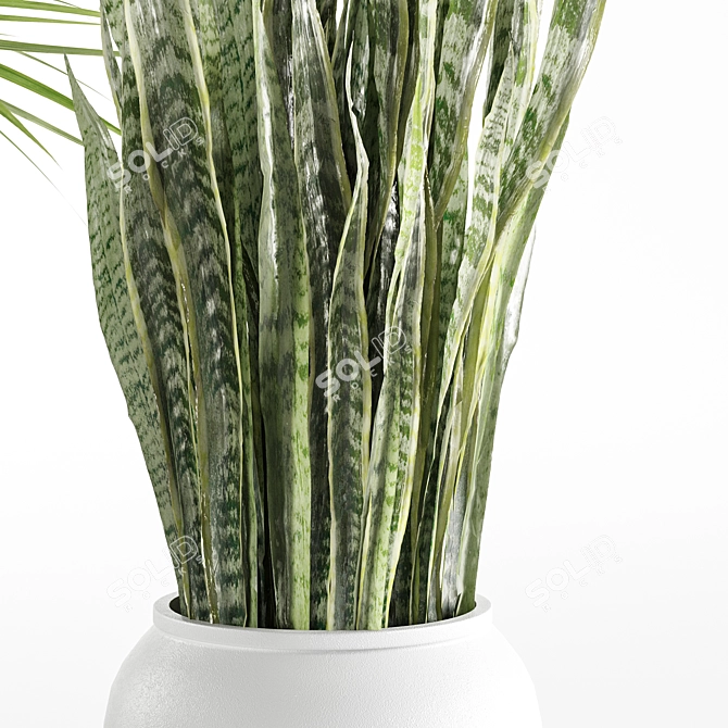 Set of Indoor Plants 3D model image 3