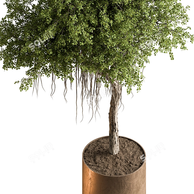 Cozy Home Green Tree Pot 3D model image 2