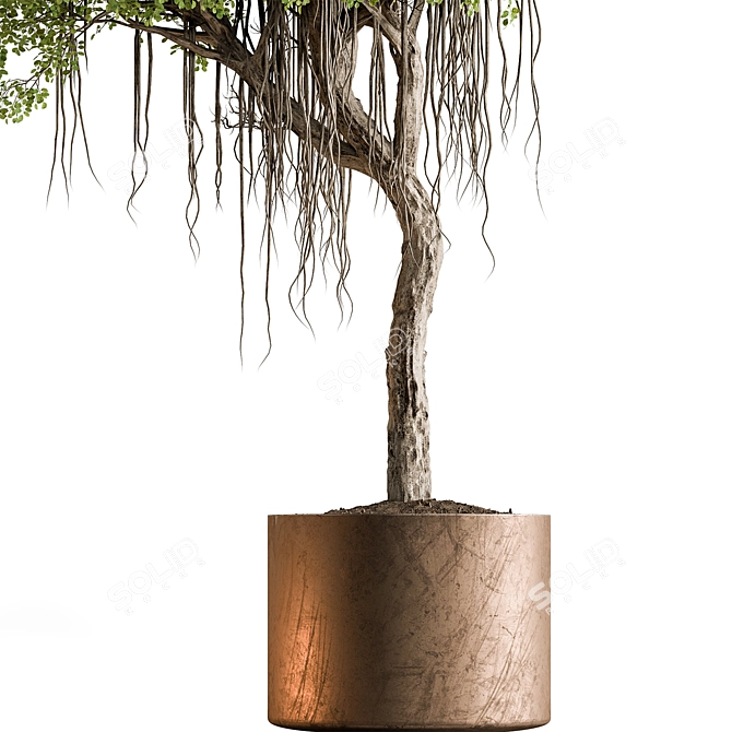 Cozy Home Green Tree Pot 3D model image 4