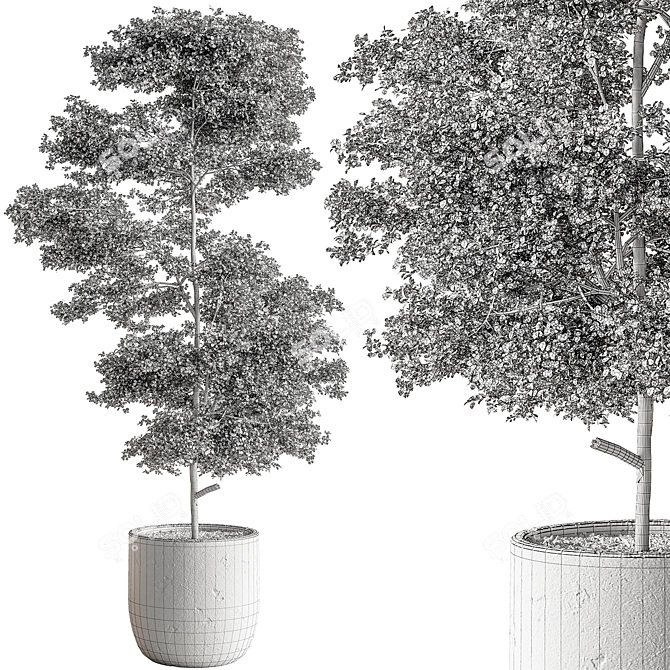 Tree in Pot: Indoor 712 3D model image 4