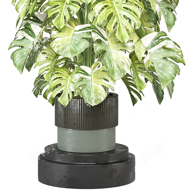 Modern Indoor Plants Collection Set 3D model image 2