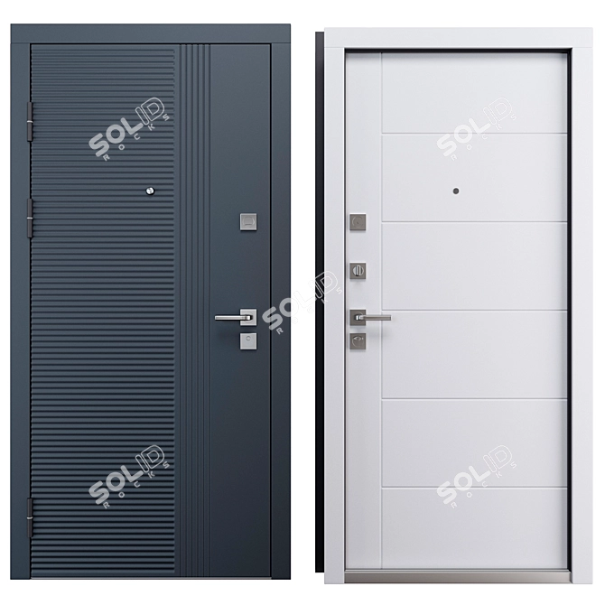 Staller 3K TR5 Entrу Door 3D model image 3