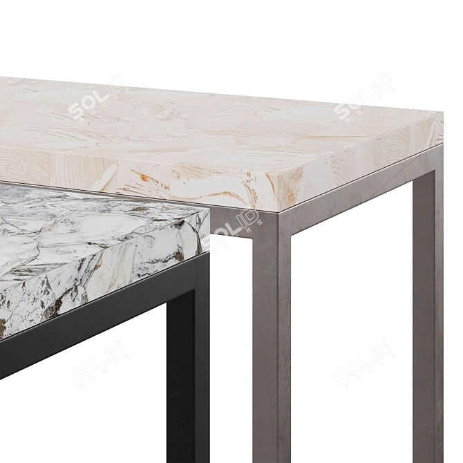 Elegant Arielle Console Table, Argento 3D model image 4