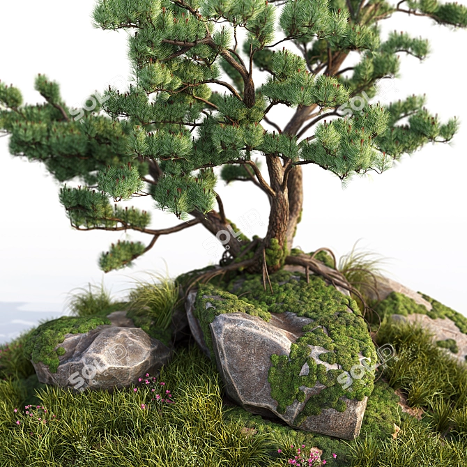 Stone Pine Landscaping Solution 3D model image 3