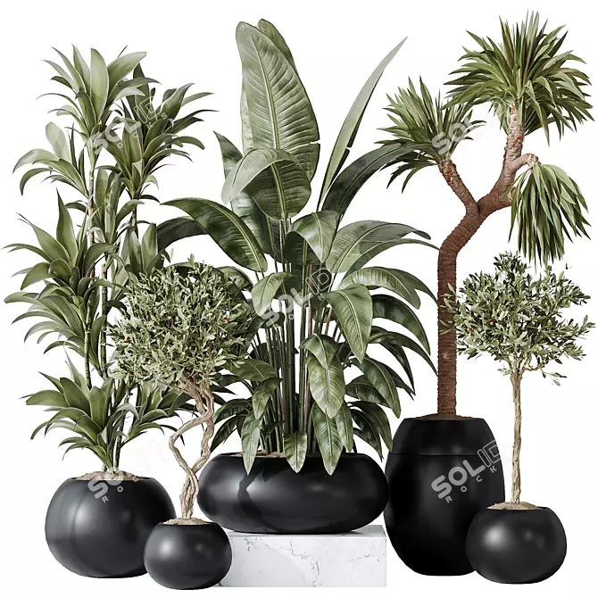 Modern Indoor Plant Set 47 3D model image 1