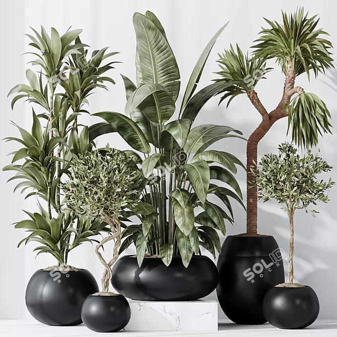 Modern Indoor Plant Set 47 3D model image 2
