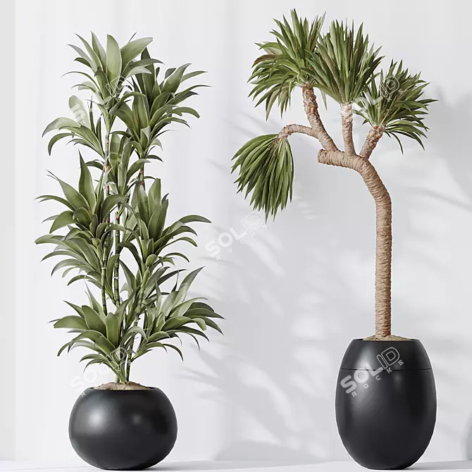 Modern Indoor Plant Set 47 3D model image 3