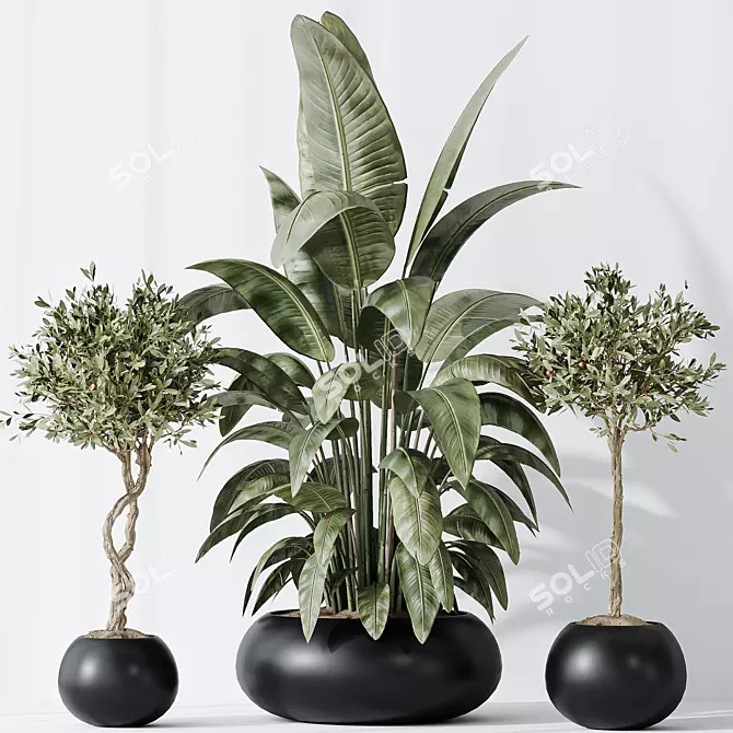 Modern Indoor Plant Set 47 3D model image 4
