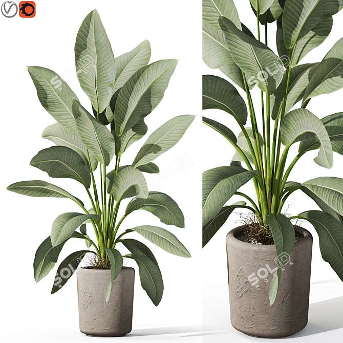 Botanic Delightful Greenery Bundle 3D model image 1