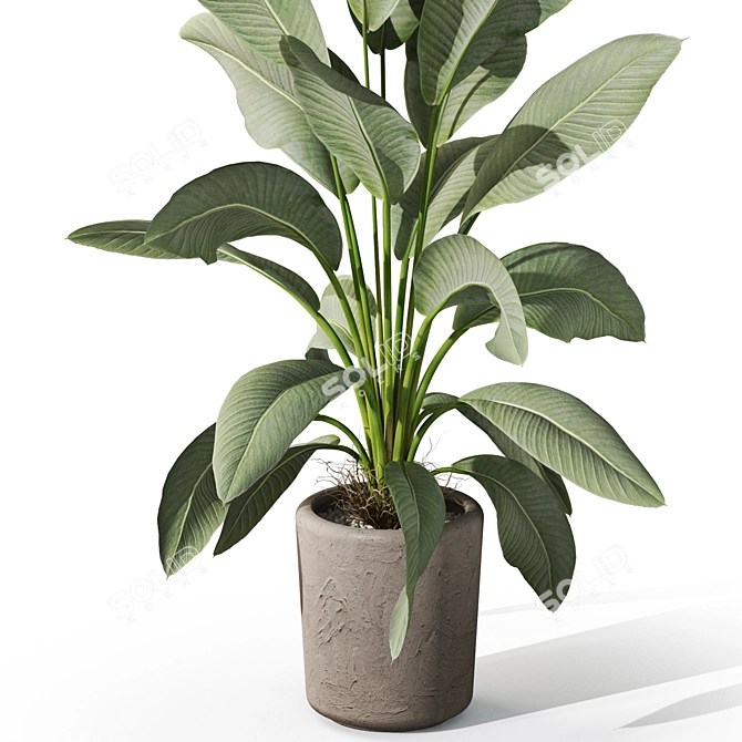 Botanic Delightful Greenery Bundle 3D model image 2